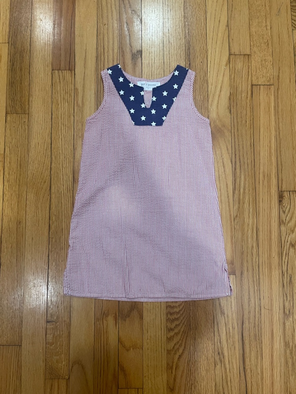 Petite Poppy Red & Navy Star Seersucker Sleeveless Dress